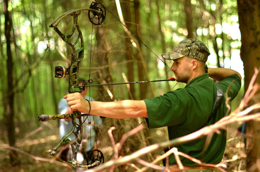 A Complete Overview of 3D Archery